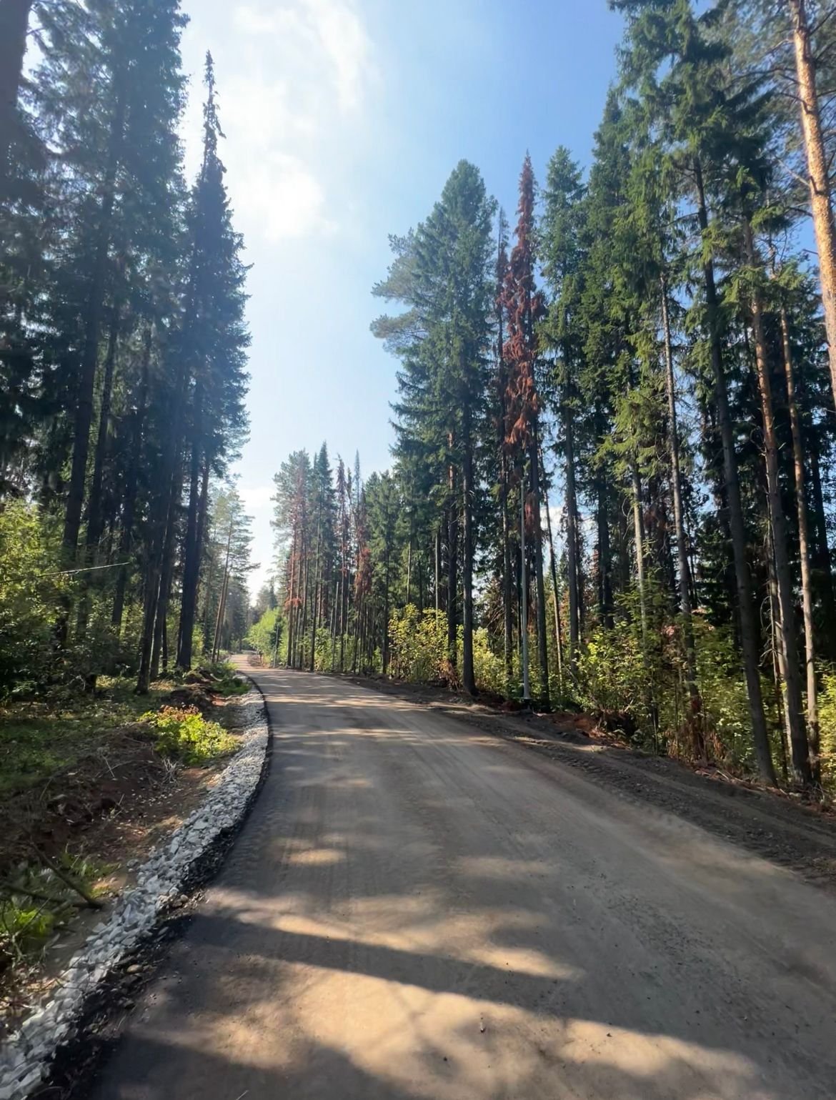 Дорожная техника